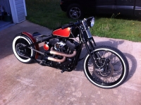 Sportster Ball Breaker