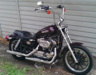 Sportster 1200XL