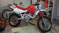 XR600