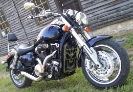 Vulcan 1600 Mean Streak