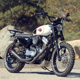 Sportster Scrambler