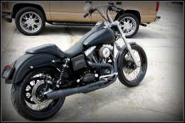 Dyna Street Bob