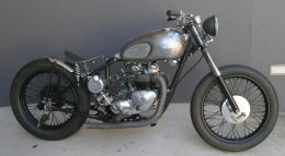 T100 Bobber